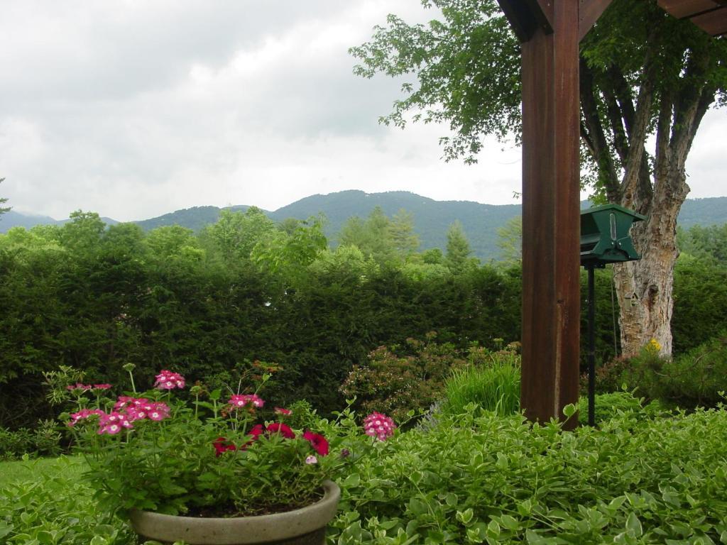 Brookside Mountain Mist Inn Уэйнсвилл Экстерьер фото